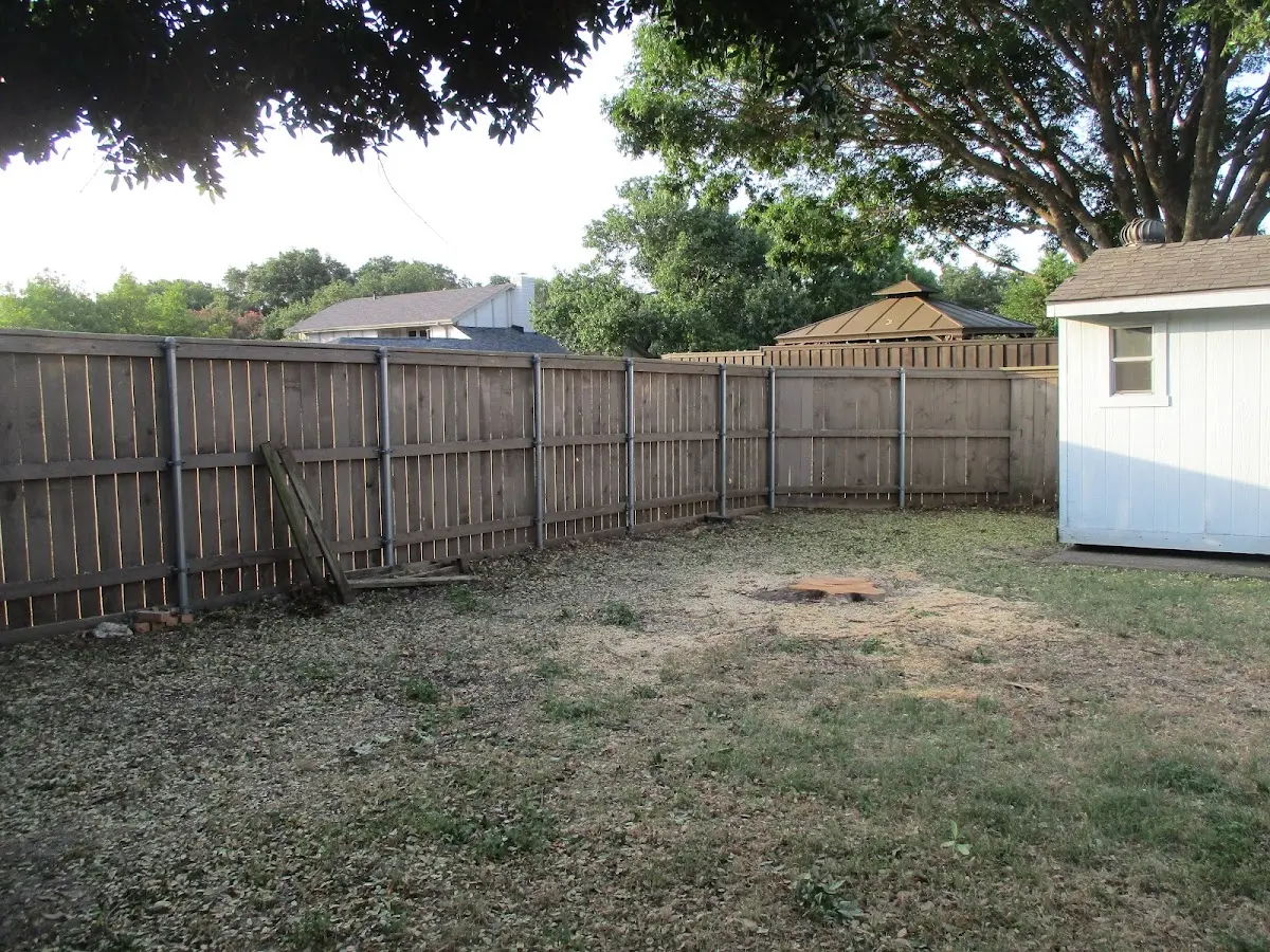 Cleared yard after professional tree removal in Titusville