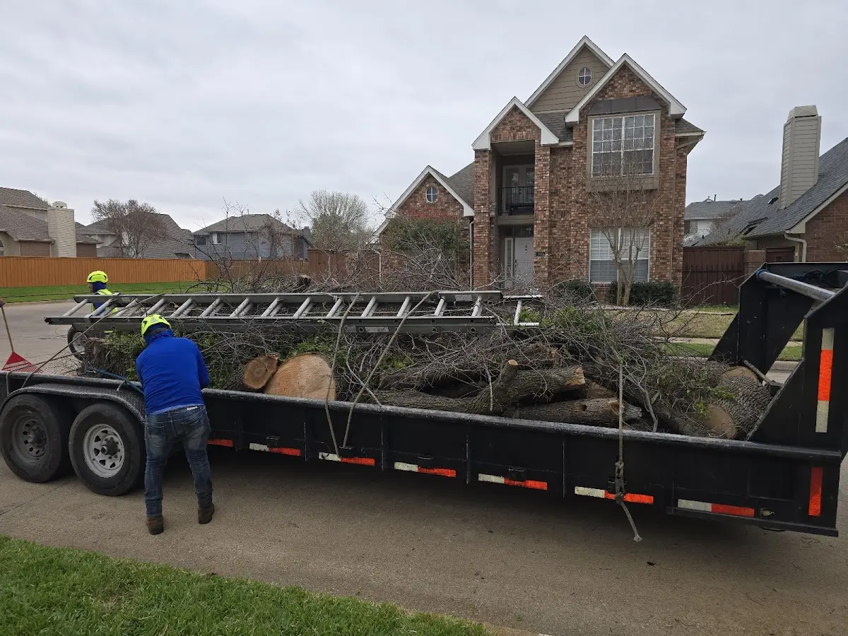 Expert Lot Clearing with proper safety equipment in Titusville